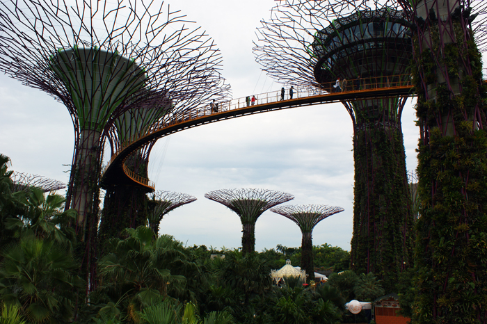 Singapur: Garden by the Bay 2014
