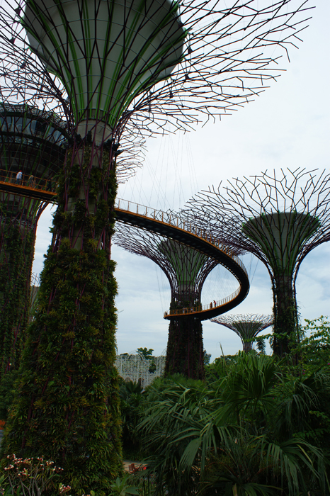 Singapur: Garden by the Bay 2014
