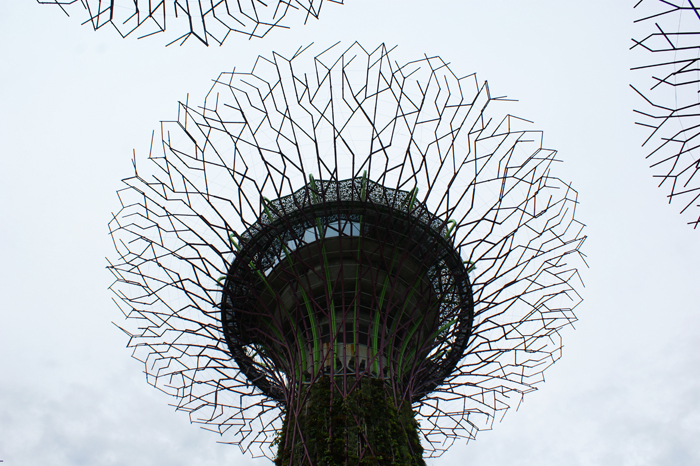 Singapur: Garden by the Bay 2014
