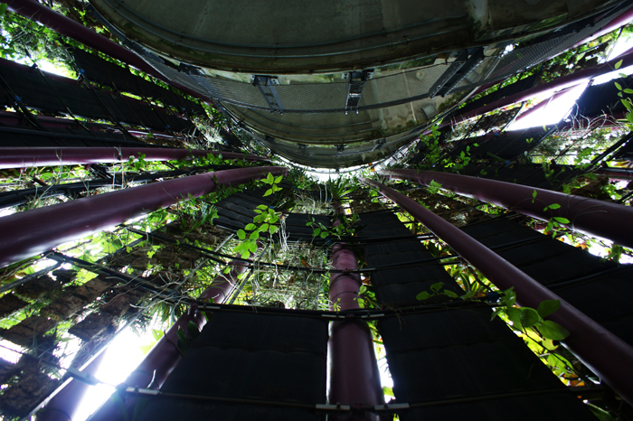 Singapur: Garden by the Bay 2014
