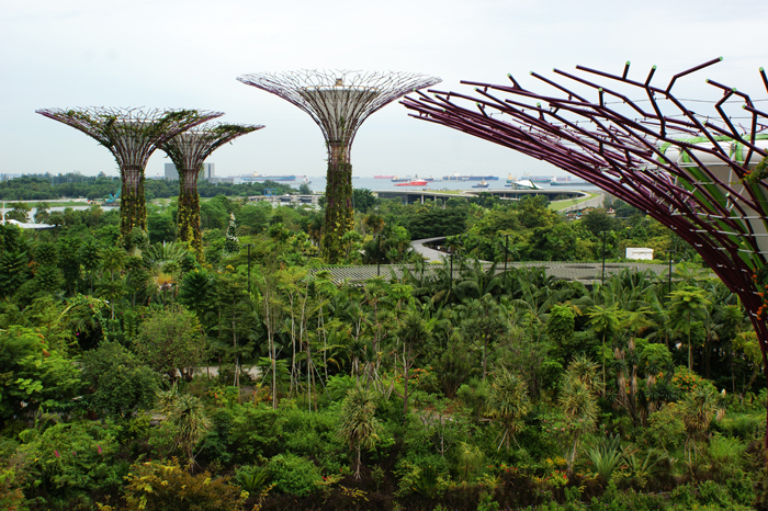Singapur: Garden by the Bay 2014
