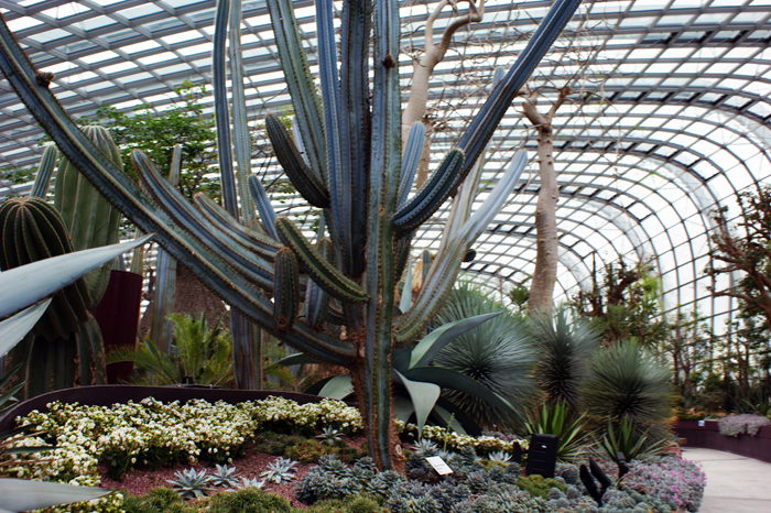 Singapur: Garden by the Bay 2014
