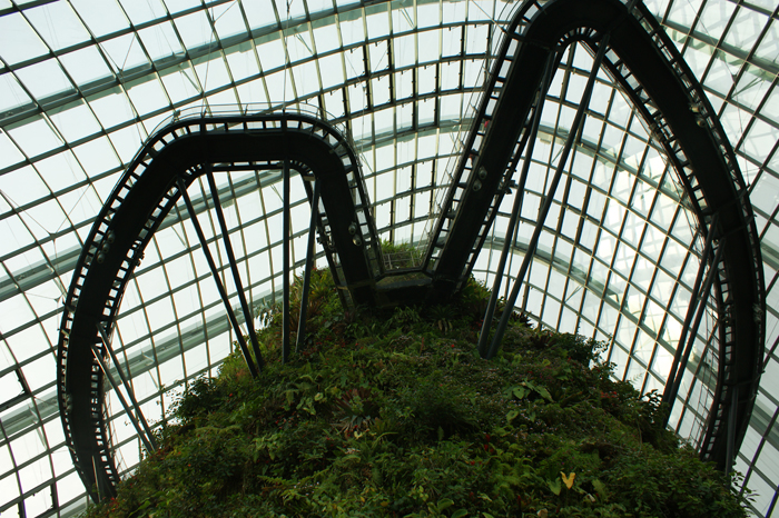 Singapur: Garden by the Bay 2014
