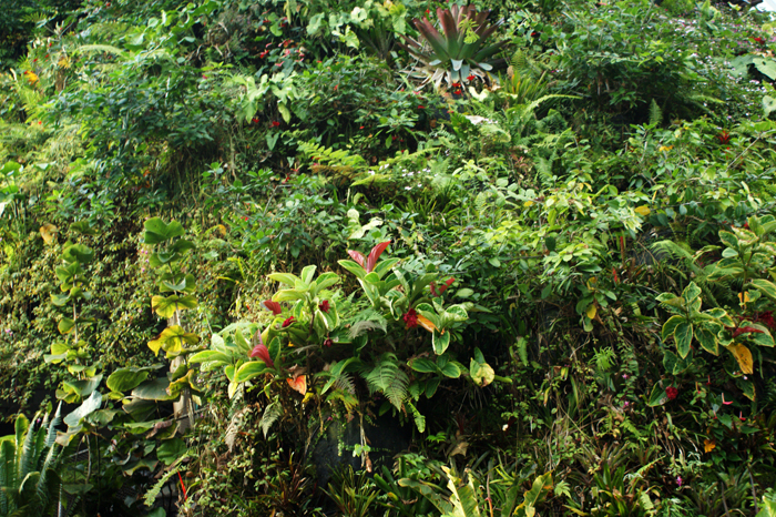 Singapur: Garden by the Bay 2014
