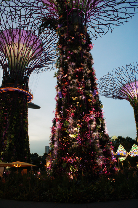 Singapur: Garden by the Bay 2014