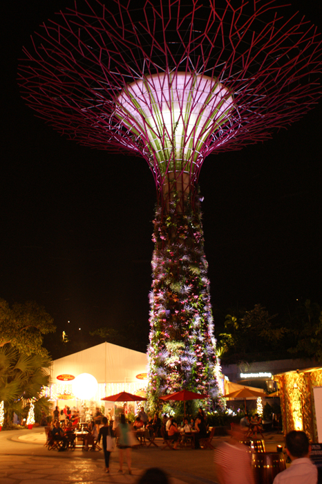 Singapur: Garden by the Bay 2014