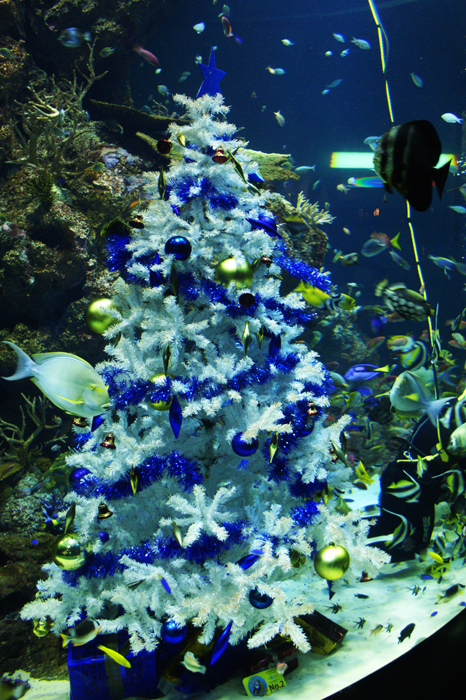 Singapur: Sentosa Island 2014

