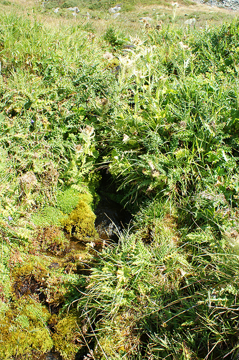 Schweiz: Val d'Anniviers + Sion 2015