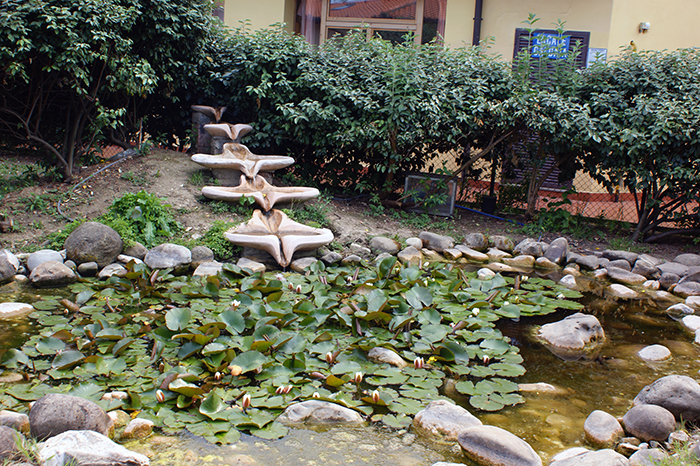 Bildinfo