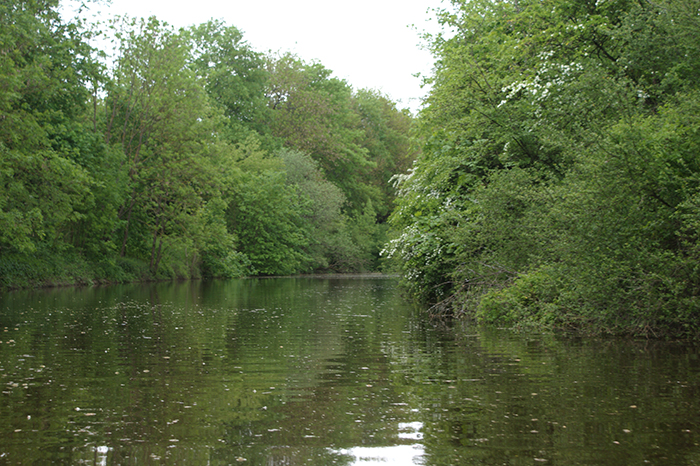 Kanutour auf der Lahn