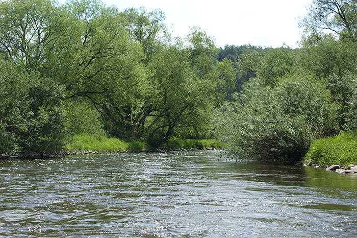 Kanutour auf der Lahn