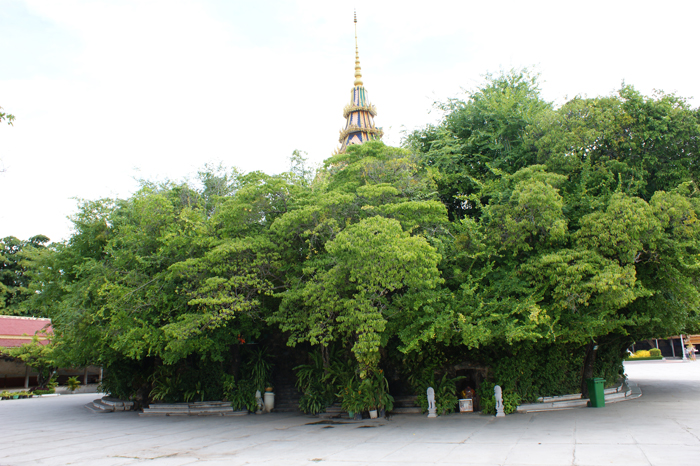 Kambodscha, Phnom Penh