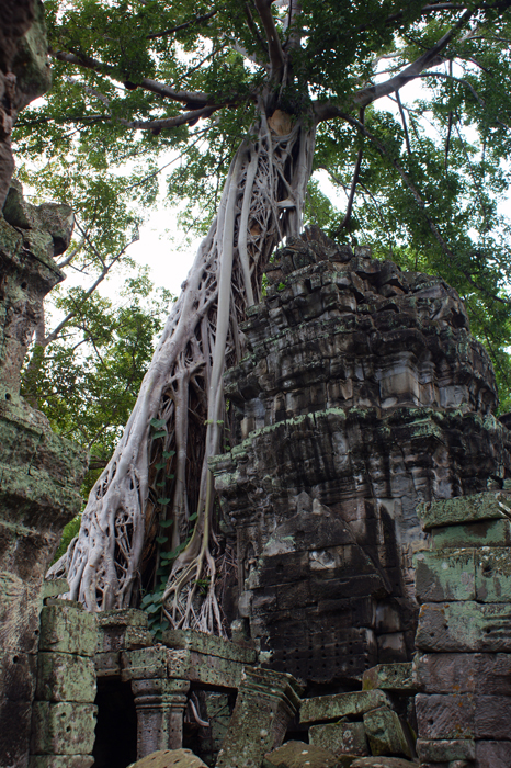 Angkor Wat