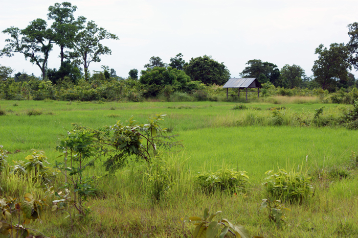 Tbeng Meanchey