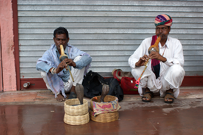 Indien: Jaipur