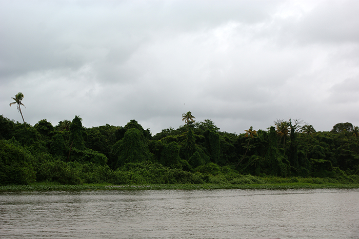 Indien: Kerala, Backwaters
