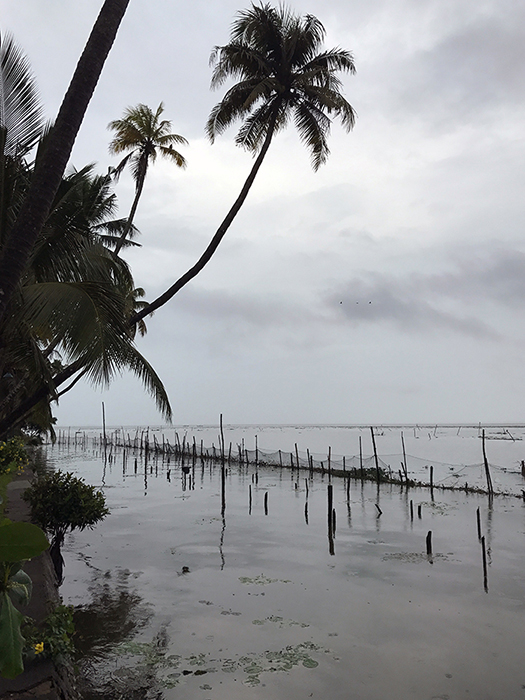 Indien: Kerala, Backwaters