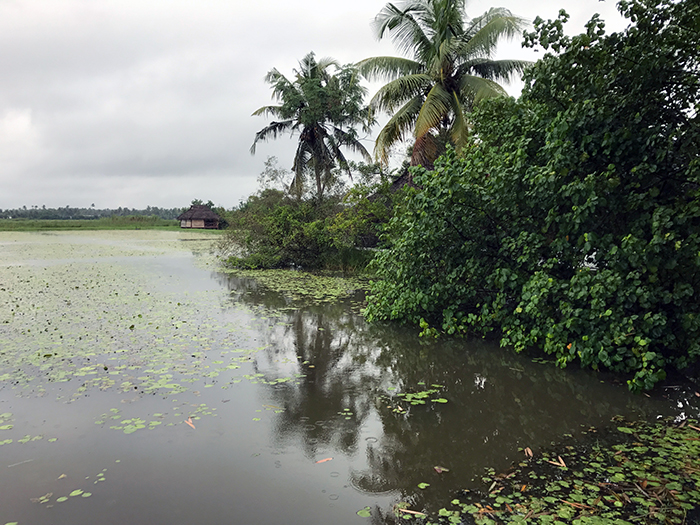 Indien: Kerala, Backwaters