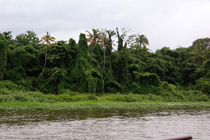 Indien: Kerala, Backwaters