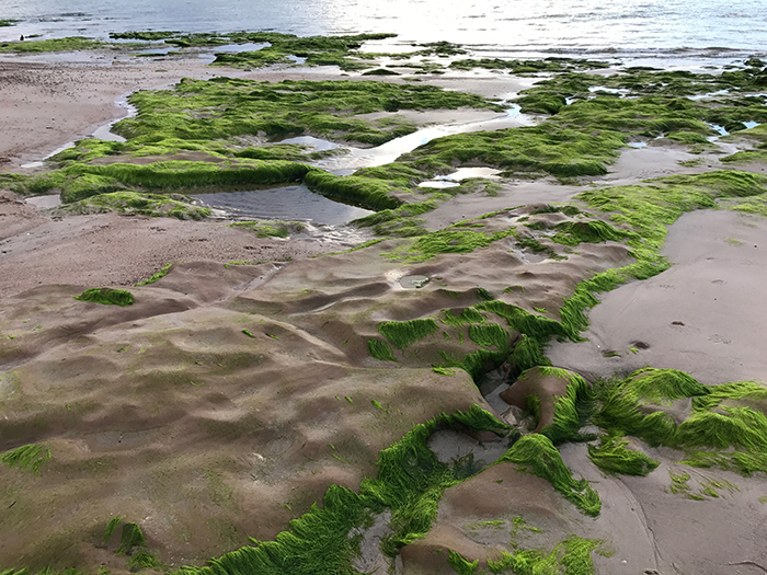Schottland. Von Aberdeen über Inverness (Loch Ness) in die Highlands