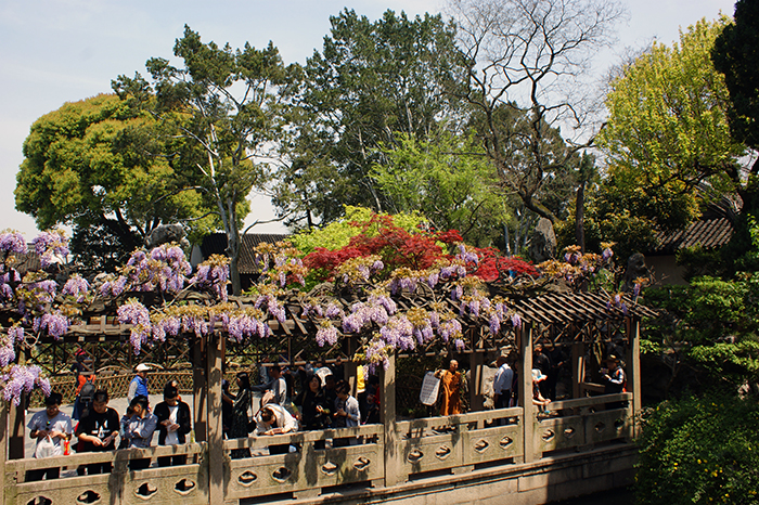 China, Suzhou: Lion Forest und Humble Administrators Garden