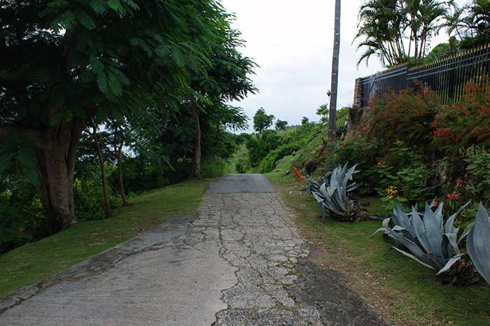 SXM: Inselwelt